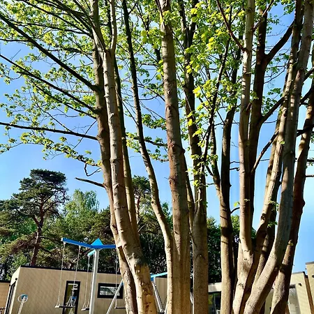 Lodge Resort Hel Domki Letniskowe Hel