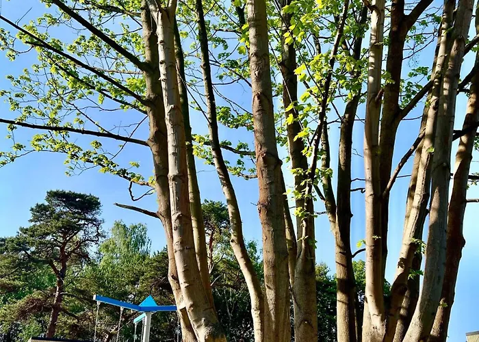 Деревянный коттедж Resort Hel Domki Letniskowe Хель