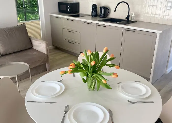 Деревянный коттедж Resort Hel Domki Letniskowe Хель